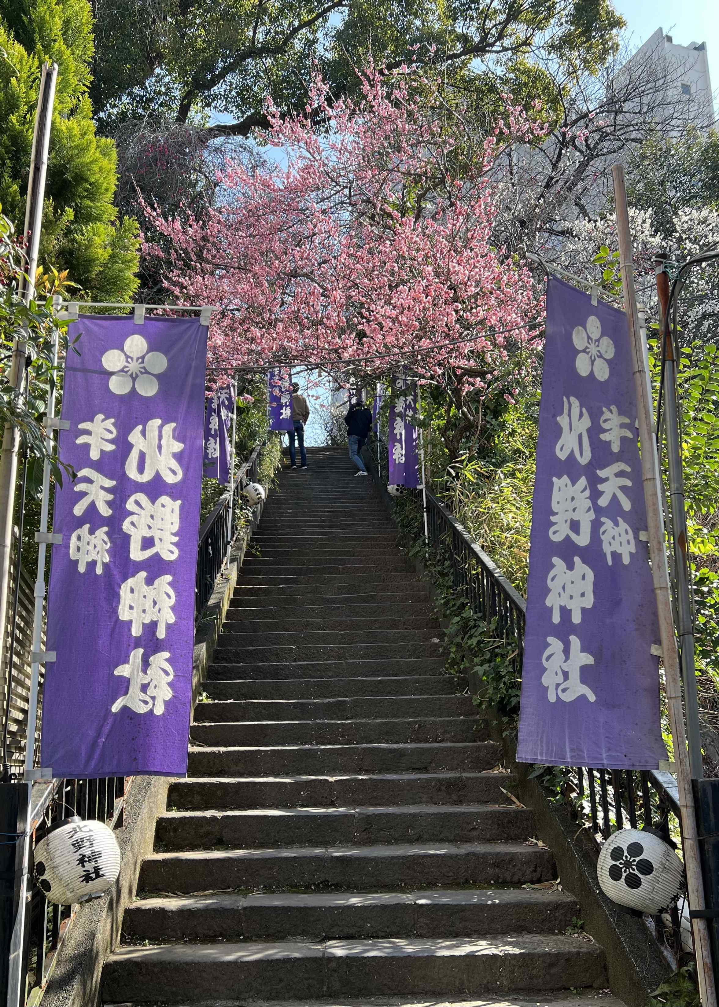 🏞️ 순채 연못 녹지(준사이이케료쿠치) 이미지 9